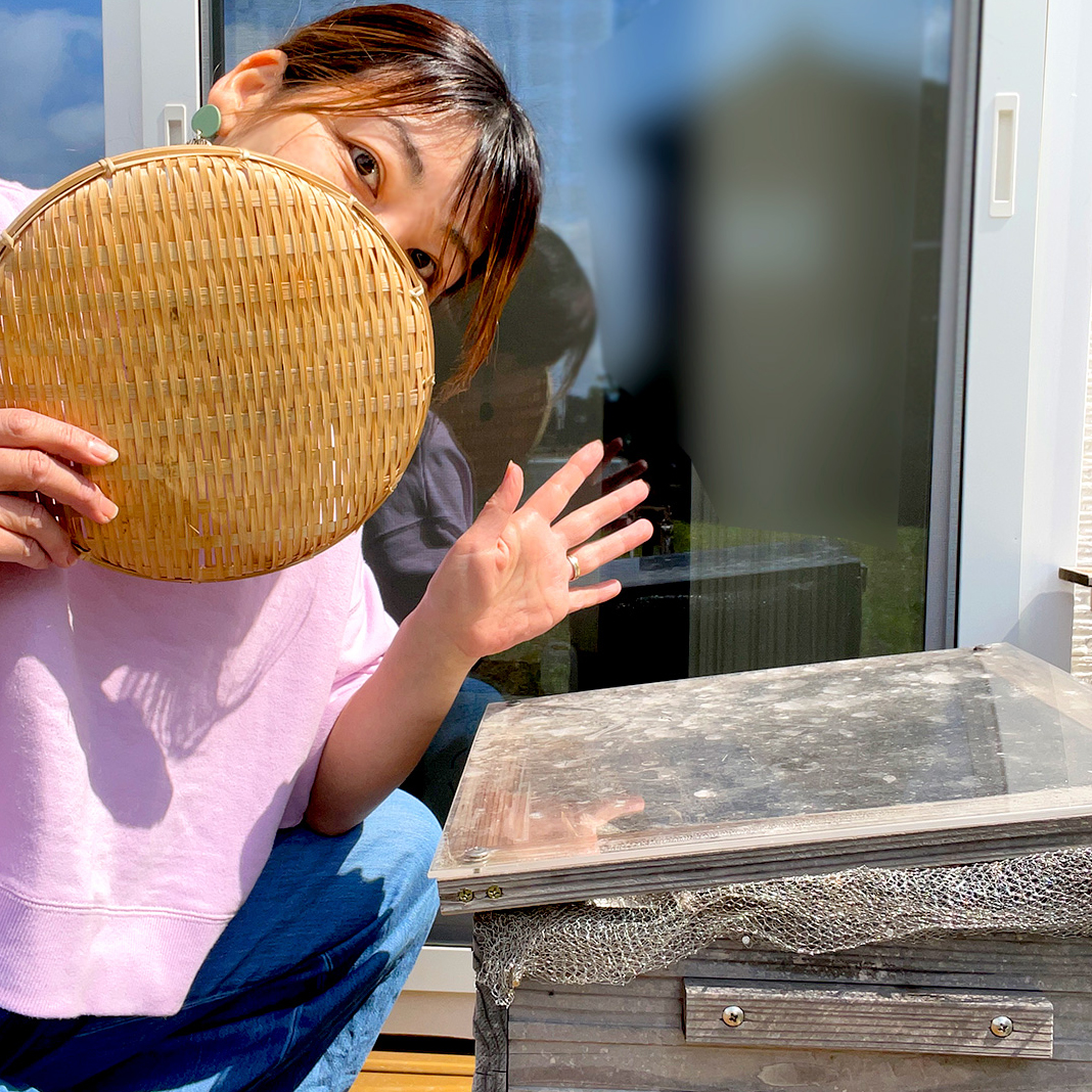 NICOプロフィール